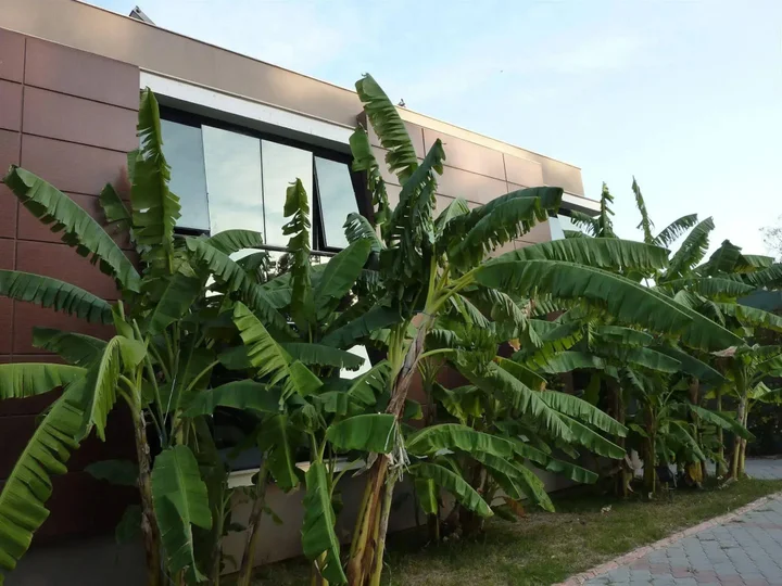 Адана: Çetinel Otel