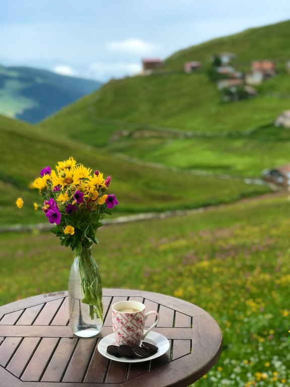 Узунгёль: Uzungol Karester Villa Apart