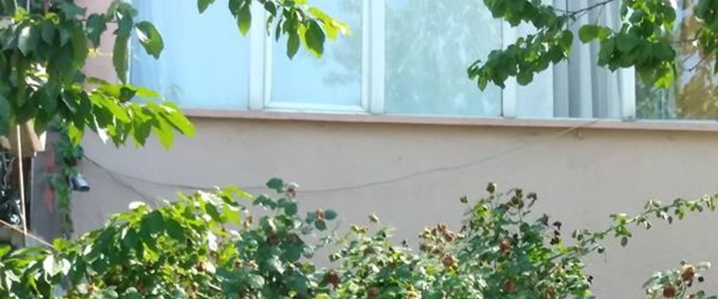 Анкара: Erzurum Otel