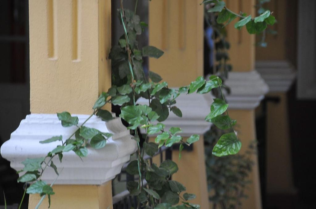 Измир: Antik Han Hotel - Special Class