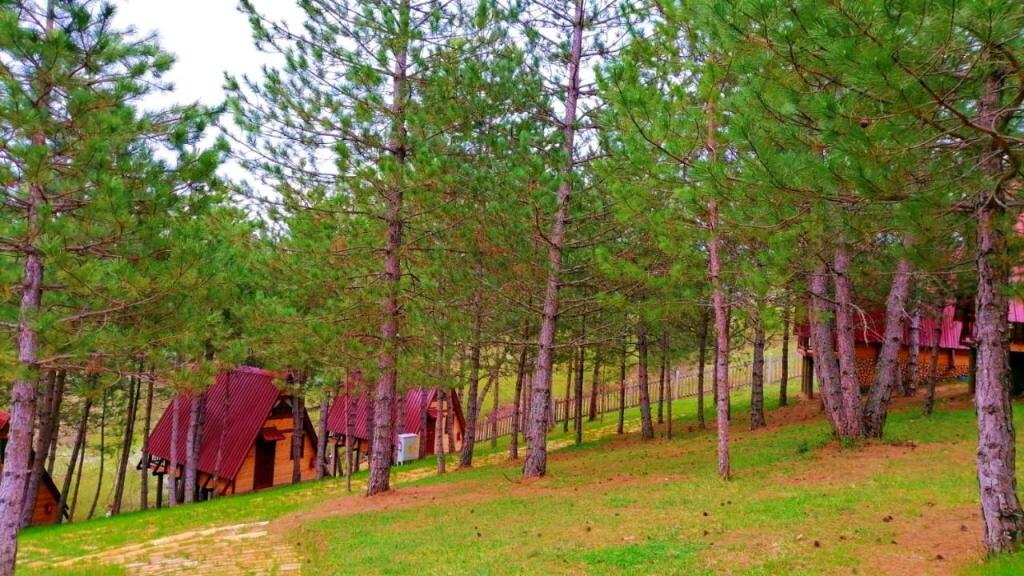 Fikri Atalay Konagi Bungalov Evleri — фото 3
