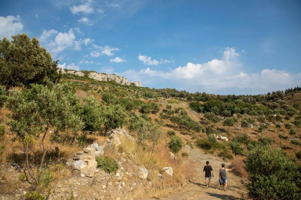 Датча: Goknar Knidos Nature Otel