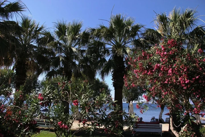 Бодрум: Yilmaz Hotel