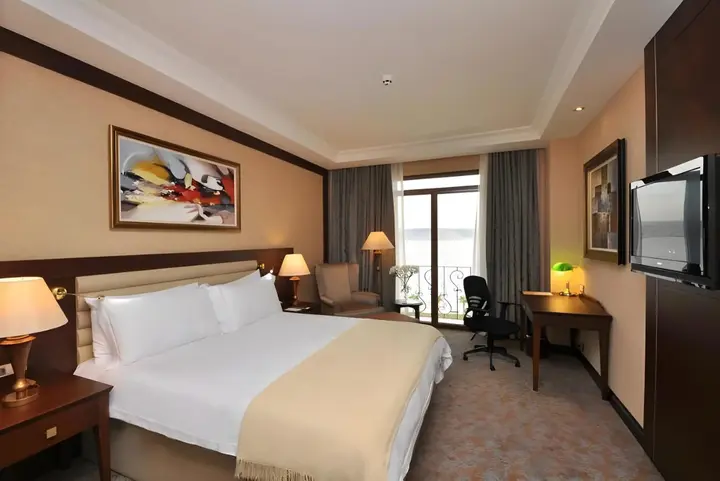 Башискеле: Wellborn Luxury Hotel