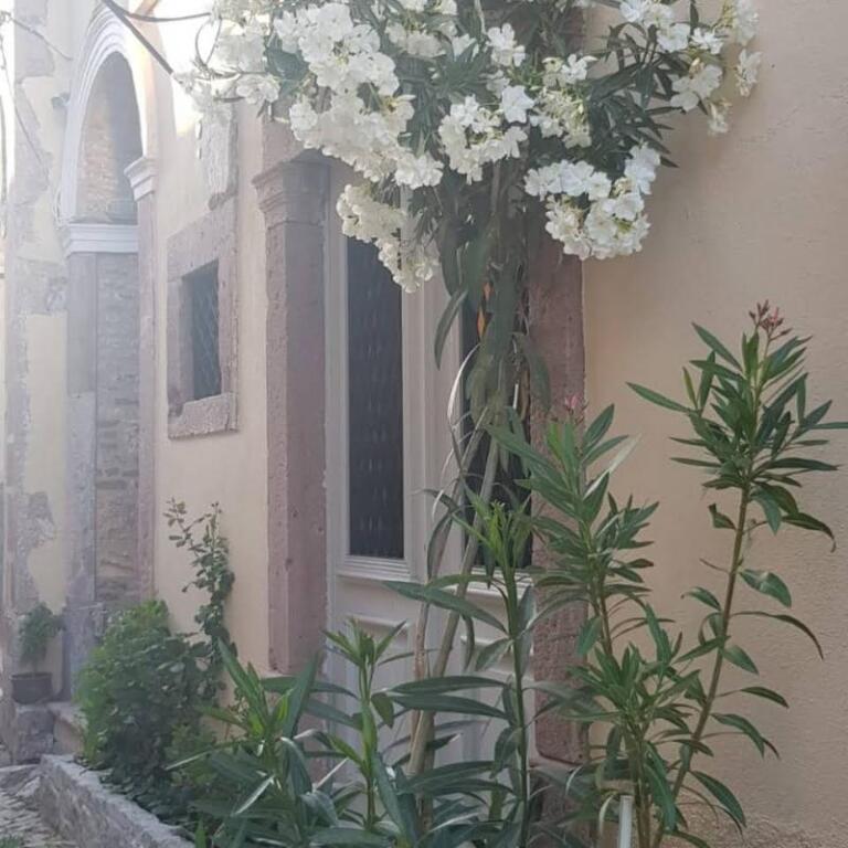 Айвалык: Soho Ayvalik