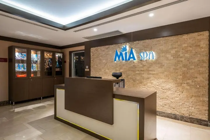 Стамбул: Отель Clarion Istanbul Mahmutbey