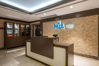 Стамбул: Отель Clarion Istanbul Mahmutbey