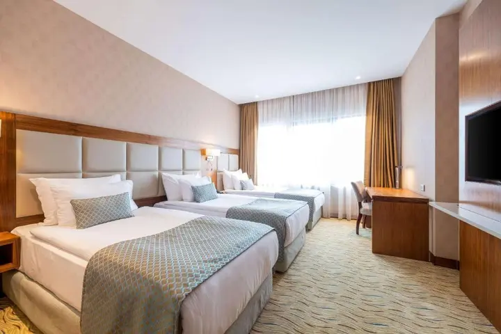 Стамбул: Отель Clarion Istanbul Mahmutbey
