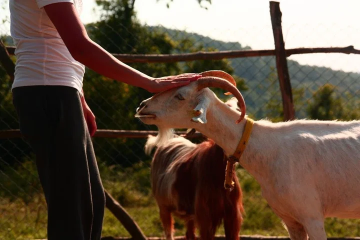 Керпе: Narköy Ecologic Hotel & Organic Farm