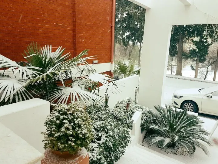 Бурхание: Pidasus Hotel