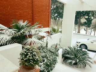 Бурхание: Pidasus Hotel