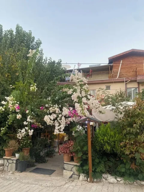 Чиралы: Rose Pension