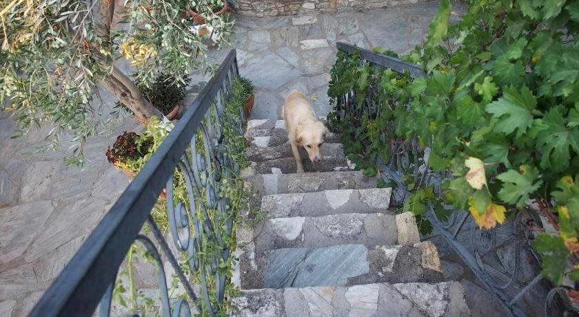 Капикири: Bahab Guest House