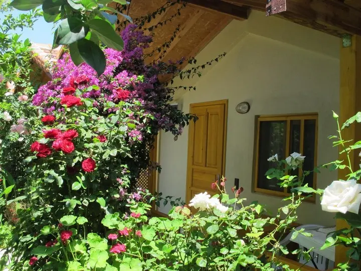 Чиралы: Blue Paradise Pension