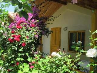 Чиралы: Blue Paradise Pension