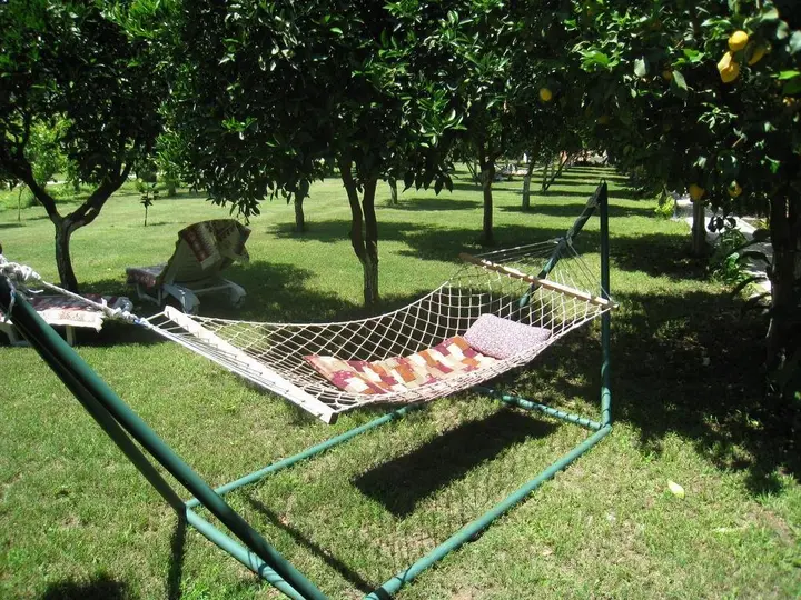 Чиралы: Blue Paradise Pension