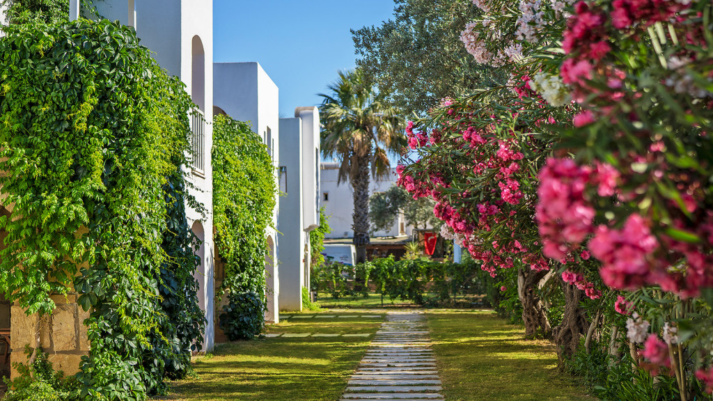 Торба: Toka Bodrum Hotel & Beach Club