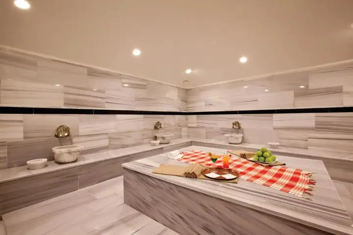 Гебзе: Holiday Inn Gebze - Istanbul Asia