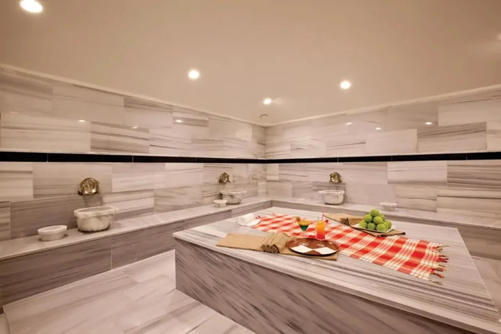 Гебзе: Holiday Inn Gebze - Istanbul Asia