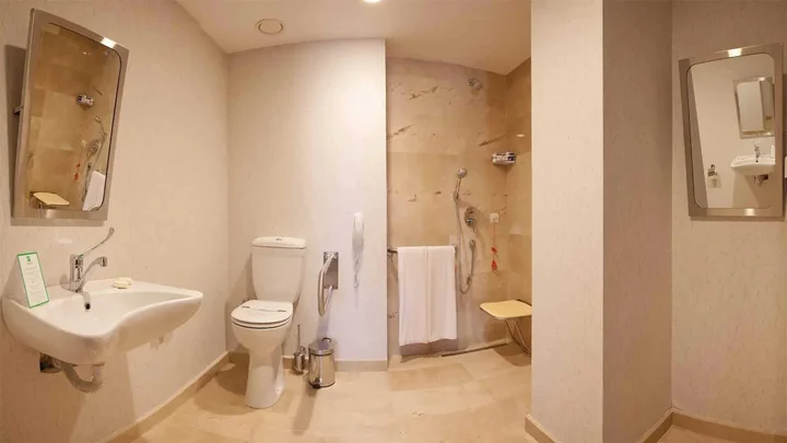 Гебзе: Holiday Inn Gebze - Istanbul Asia