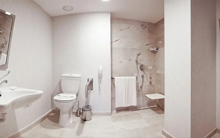 Гебзе: Holiday Inn Gebze - Istanbul Asia