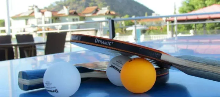 Дальян: Dalyan Palmiye Resort