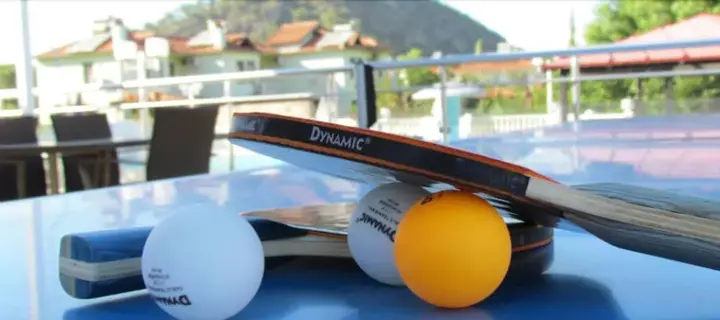 Дальян: Dalyan Palmiye Resort
