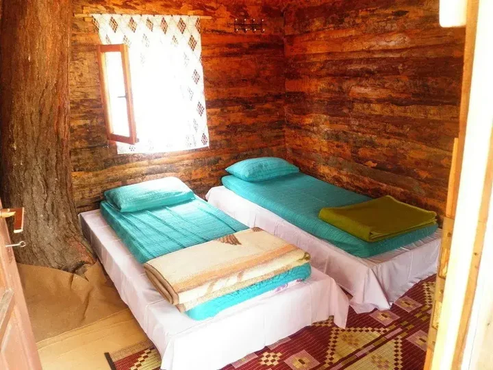 Кумлуджа: Olympos Woods - Adults Only