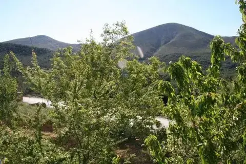 Зейтинликой: Yayla Pansiyon