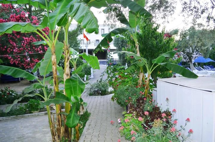 Бодрум: Ali Baba Hotel
