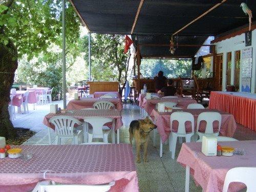 Кумлуджа: Adrasan Gelidonya Hotel