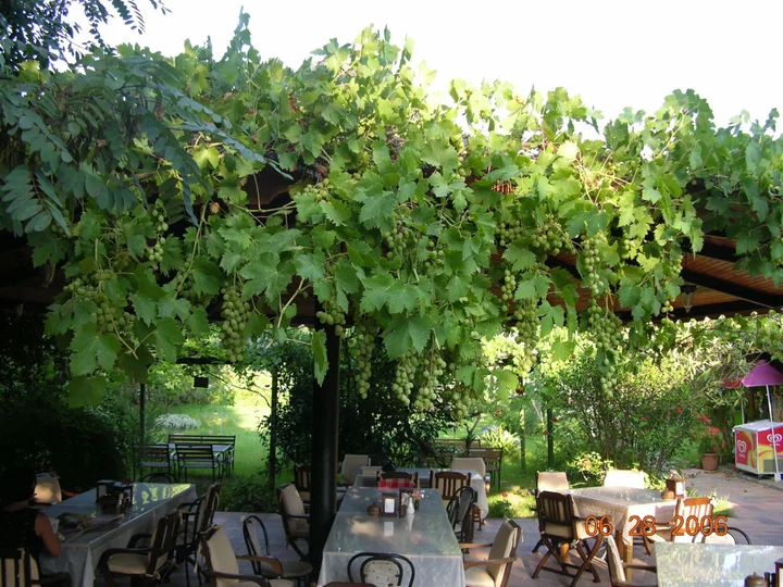 Чиралы: Myland Nature Hotel