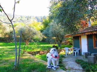 Шириндже: Kucuk Ciftlik Bungalow Evleri
