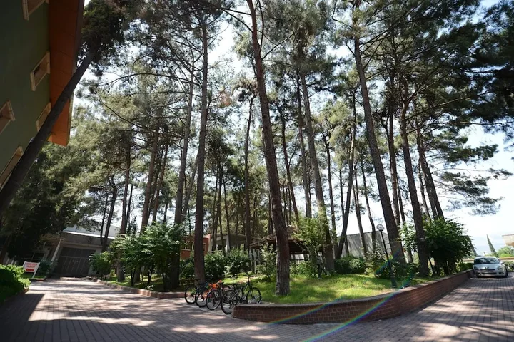Кахраманмарас: Arsan Hotel