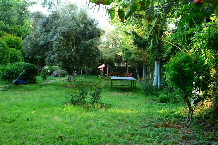 Аланья: Sevkibey Hotel