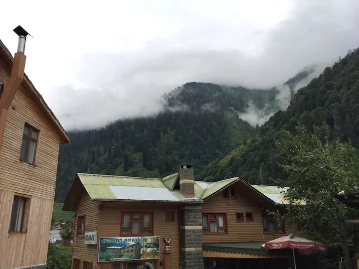 Чамлыхемшин: Ayder Yesil Vadi Otel