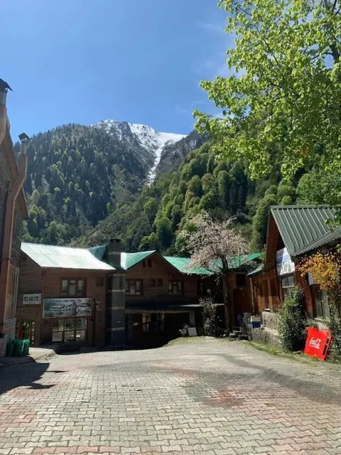 Чамлыхемшин: Ayder Yesil Vadi Otel