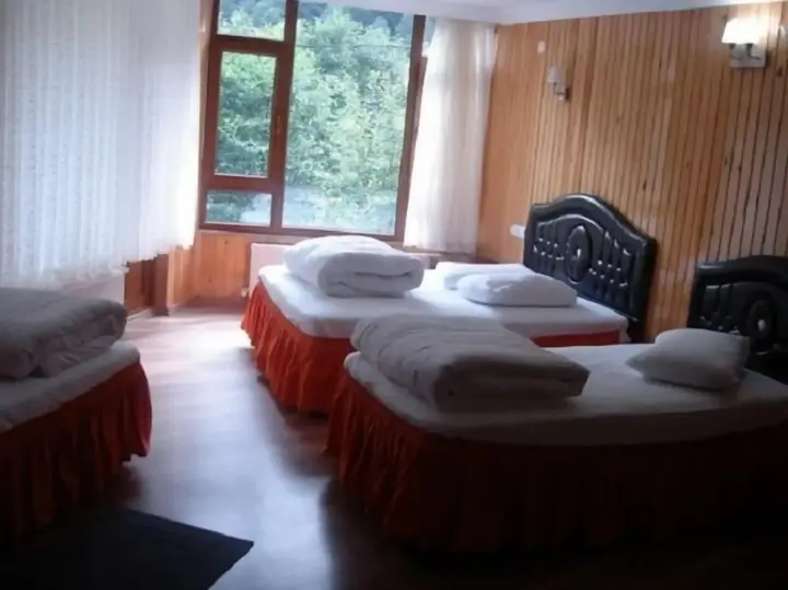 Чамлыхемшин: Ayder Yesil Vadi Otel