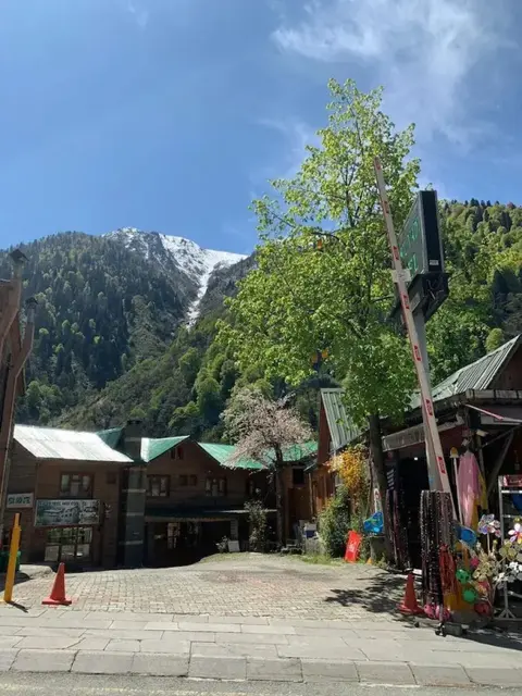 Чамлыхемшин: Ayder Yesil Vadi Otel