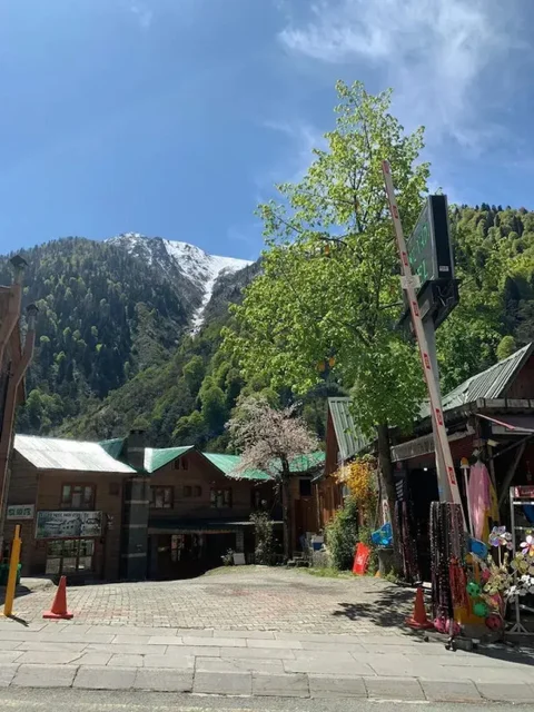 Чамлыхемшин: Ayder Yesil Vadi Otel