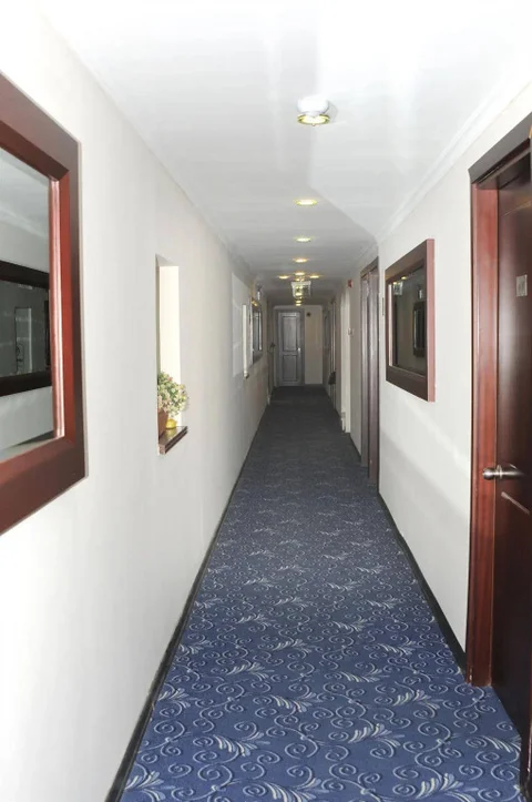 Бююкчекмедже: Ronax Hotel