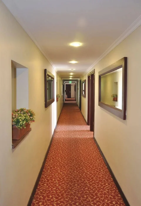 Бююкчекмедже: Ronax Hotel