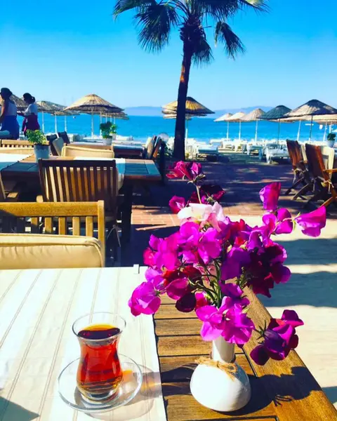 Битез: Toloman Hotel Bitez Beach