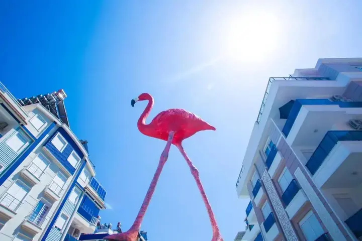Анталья: Отель Flamingo Residence