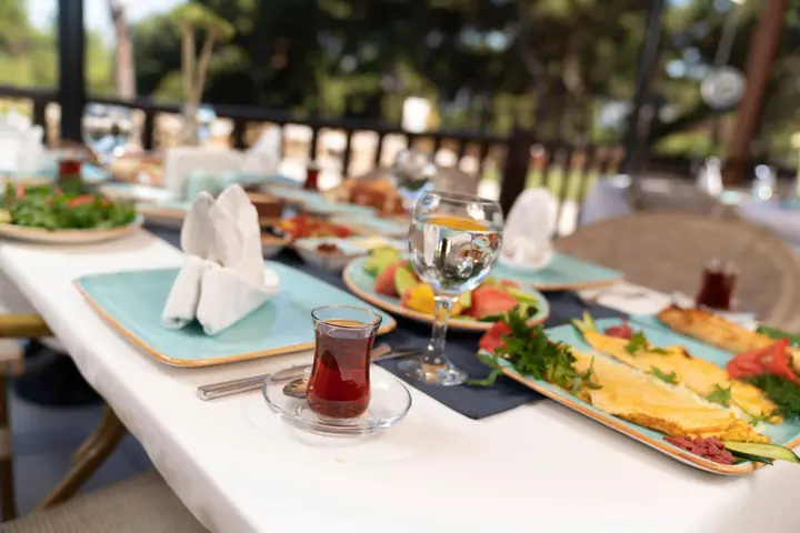 Гузеляли: Troia Tusan Hotel