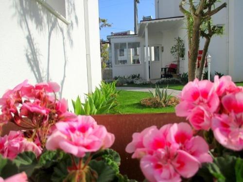 Бодрум: Bodrum Royal Palm Beach Hotel