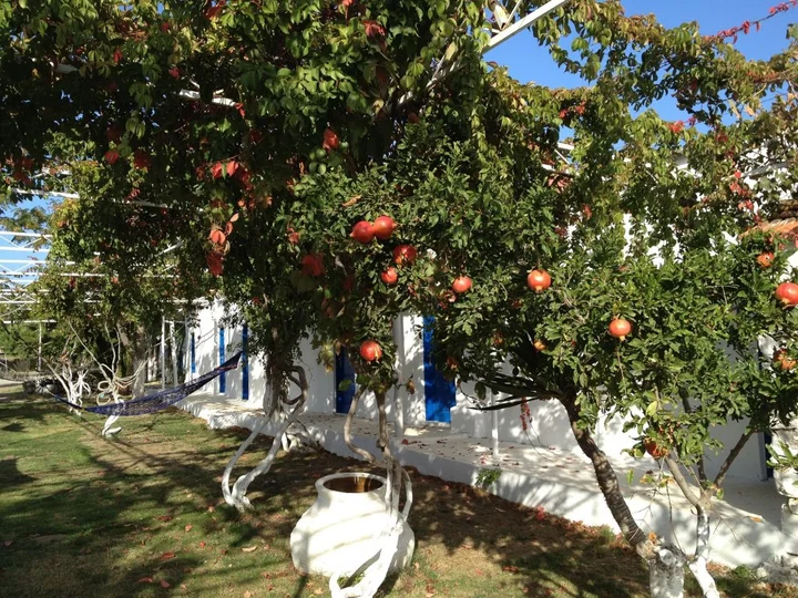 Айвалык: Biyikli Pension