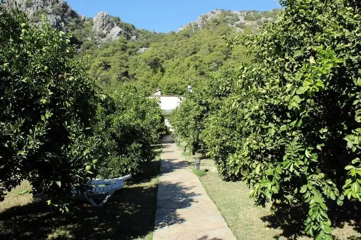 Чиралы: Cirali Merhaba Hotel