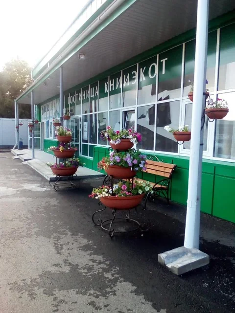 Курган: Отель Книиэкот