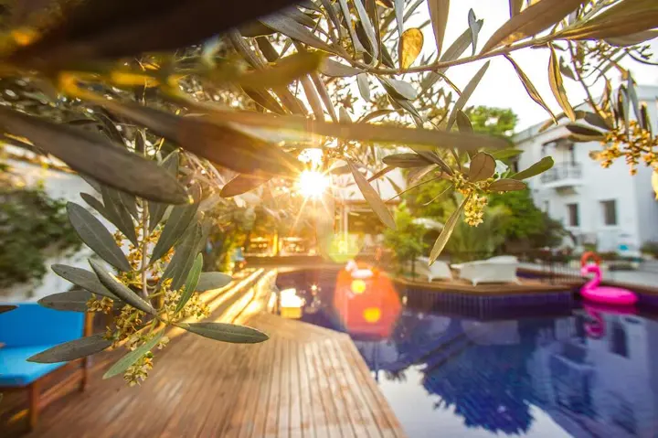 Бодрум: Hotel Centro Bodrum